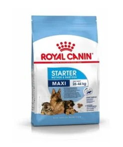Royal Canin Maxi Starter