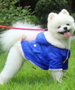 Dogs and Cats Jackets for Winter Windproof