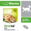 Drontal Deworming Tablets For Cats