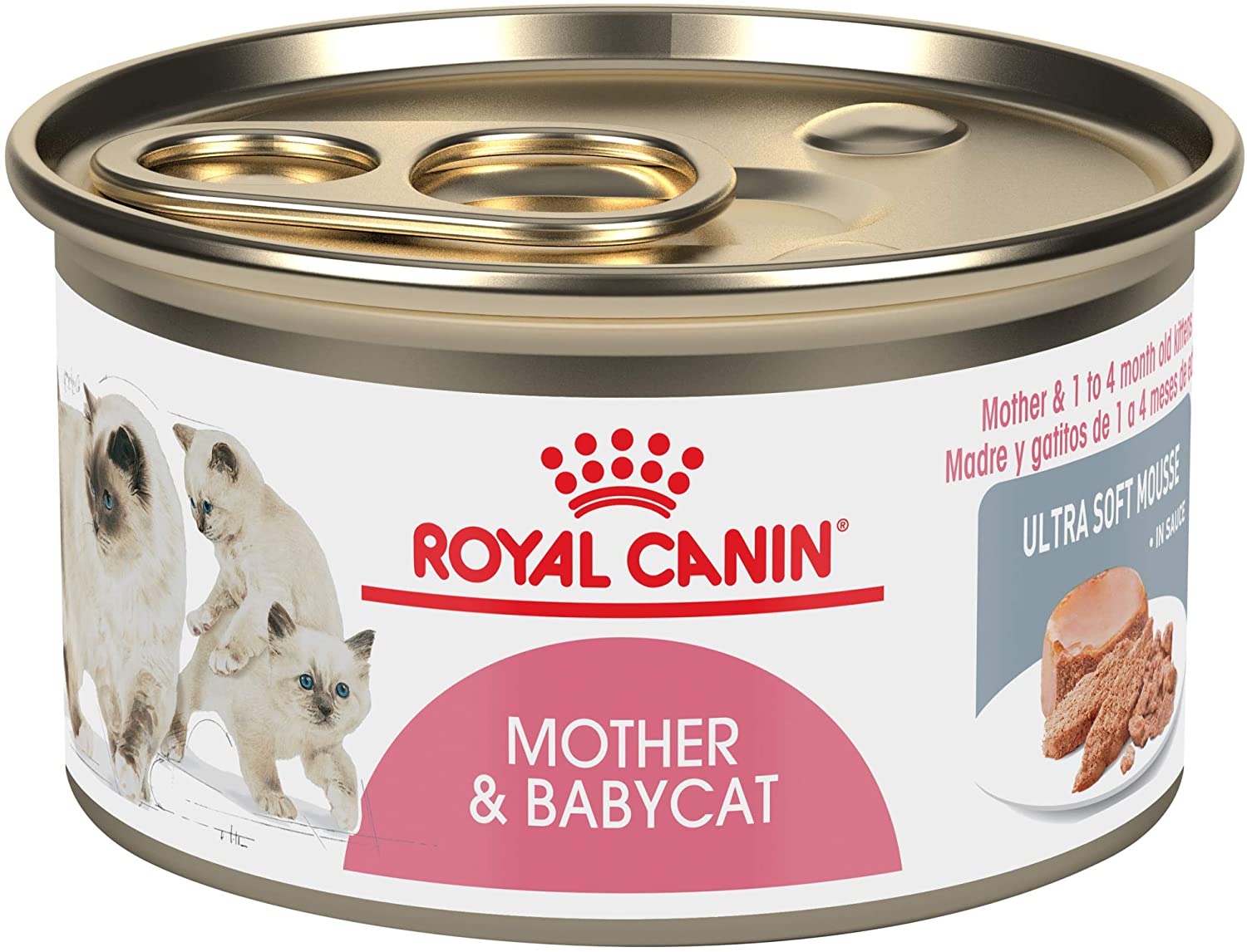 Mother and 2024 baby cat mousse