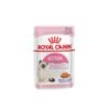 Royal Canin Kitten Jelly Wet Food