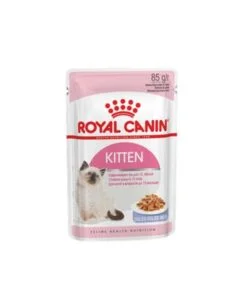 Royal Canin Kitten Jelly Wet Food