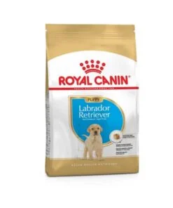 Royal Canin Labrador Retriever Puppy