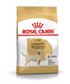 Royal Canin Labrador Retriever Adult Dog Food