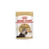 Royal Canin Persian Adult Cat Jelly