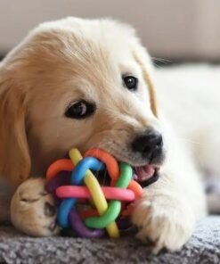 Dog Toys